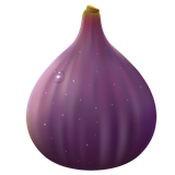 com.tavrizh.app.anjir.darmani