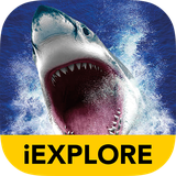 com.carlton.ioceanar