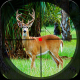 com.sgs.deer.hunter.animal.africa.apps