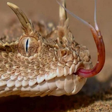 com.htmlApi24novinsoft99.marsame