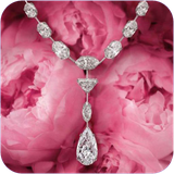 bomb.almashayezendegi