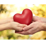 com.olfatgroup.mardan