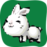 com.Butterfly.EagleAndRabbit