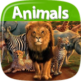 air.AnimalsDictionary