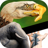 ir.tinasoft.handdrawing