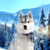 com.livewallpapers3d.cutewinter