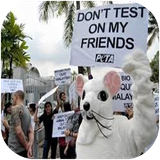 golestan.azmayeshruyjanevaran