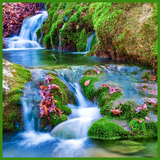 com.bmksservices.waterfallwallpapers