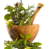 eshto.darohayegiyahi