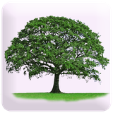 com.excelatlife.knowyourself