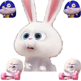 com.wallyappstudio.rabbitstickers