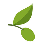 behzad.sobhani.zeytoonsabz_cusomer