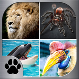 com.miaustudioentertainment.memorymatchjungleanimals