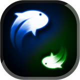 com.bravo.yin.yang.lwp