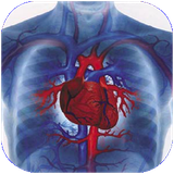 eshto.bimarihayghalbi