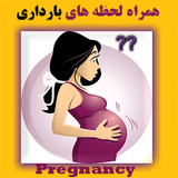 mehdi.danestanibardari.book