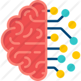 com.samyarrahimi.brain