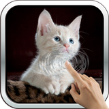 com.algar.sleepingkitten