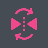 com.andromania.flipvideo