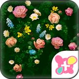 jp.co.a_tm.android.plus_full_bloom_rose