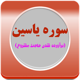 zenderood.yassin.com