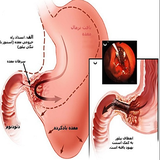 com.amrazz.bimarihayemedeh