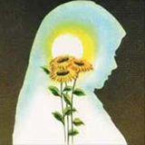 ir.sibsorkh.zanvageii