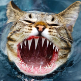 com.Junkyard.realorfakehd