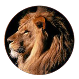 com.hadifetrati.palir_application