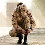 badi.moafiat.sarbazi