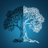 com.ecofusion.mentally