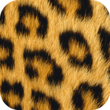 com.andromo.dev230101.app306153