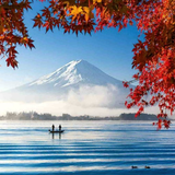 com.andromo.dev513556.app967761