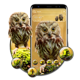 jala.owl.launcher