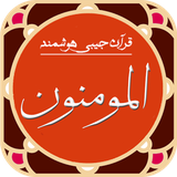 ir.amaryon313.momnon