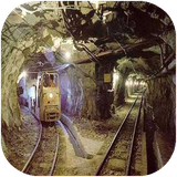 shafagh.maadenefelezi