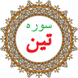 bahar.ahmai.p.s_q_altin