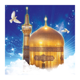 ir.appwork.emamrezaimage