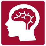 ir.salamatravan.sall