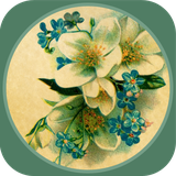 ir.tinasoft.tales_steady.shahnameh