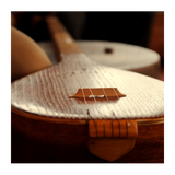 com.example.iranianmusic