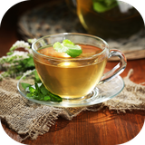 buy.yaghoot.damnoosh