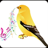 com.taptarin.canarybreeding