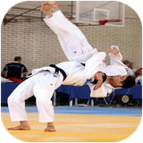 shafagh.teknikhayjodo