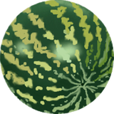 net.s.n.d.kh.mive.sabzi