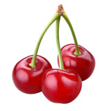 com.faramarzi.englishlearningfruit