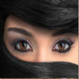 sheshmha.gashangtiksestem