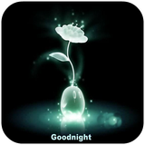 com.kingoapps.ngtgif