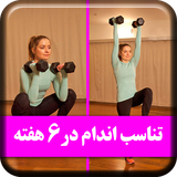 ir.fitapps.sixweeksfitness