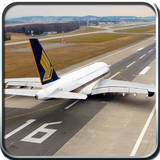 com.smashinggeeks.flightflypilotsimulator